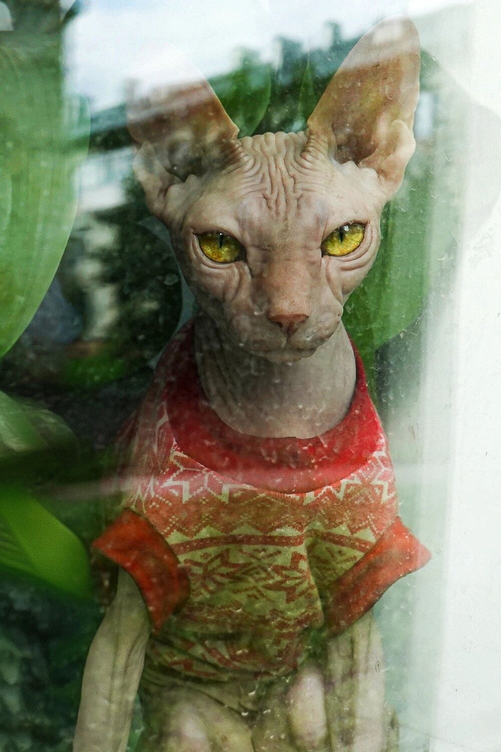 Photo #14058924