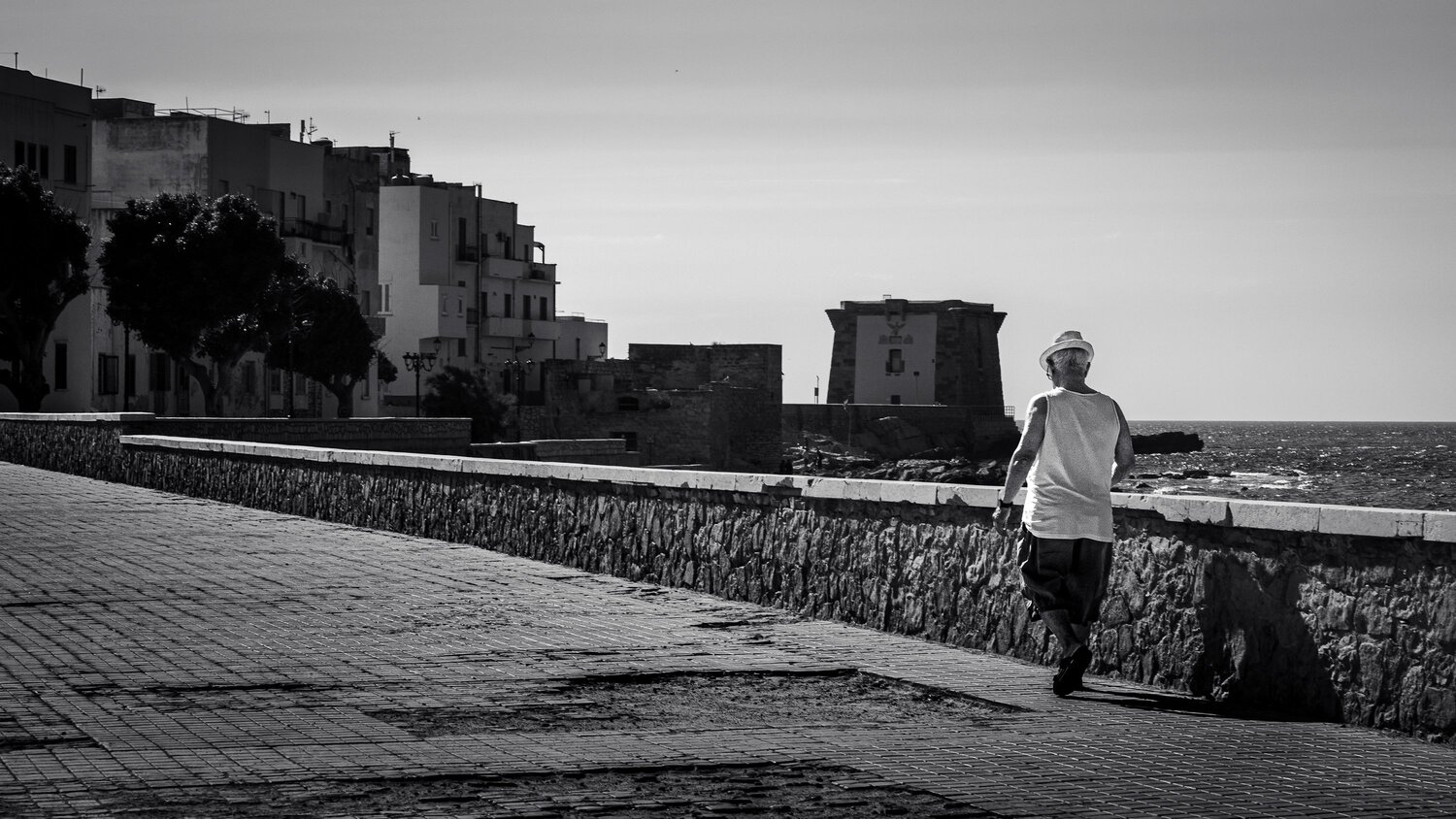 Photo #14058933