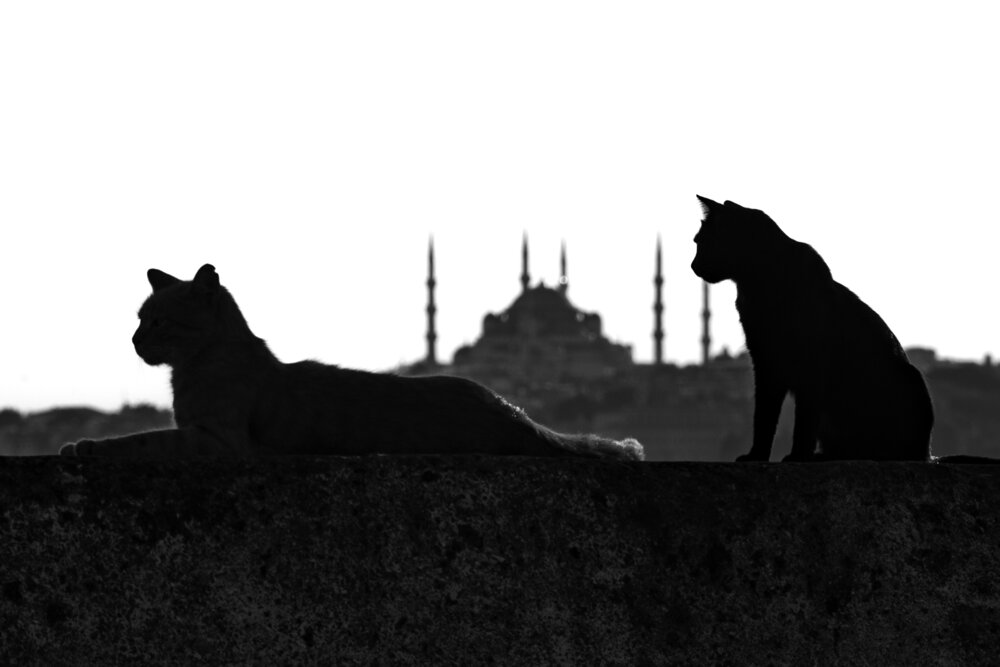 Photograph by Soner Arkan