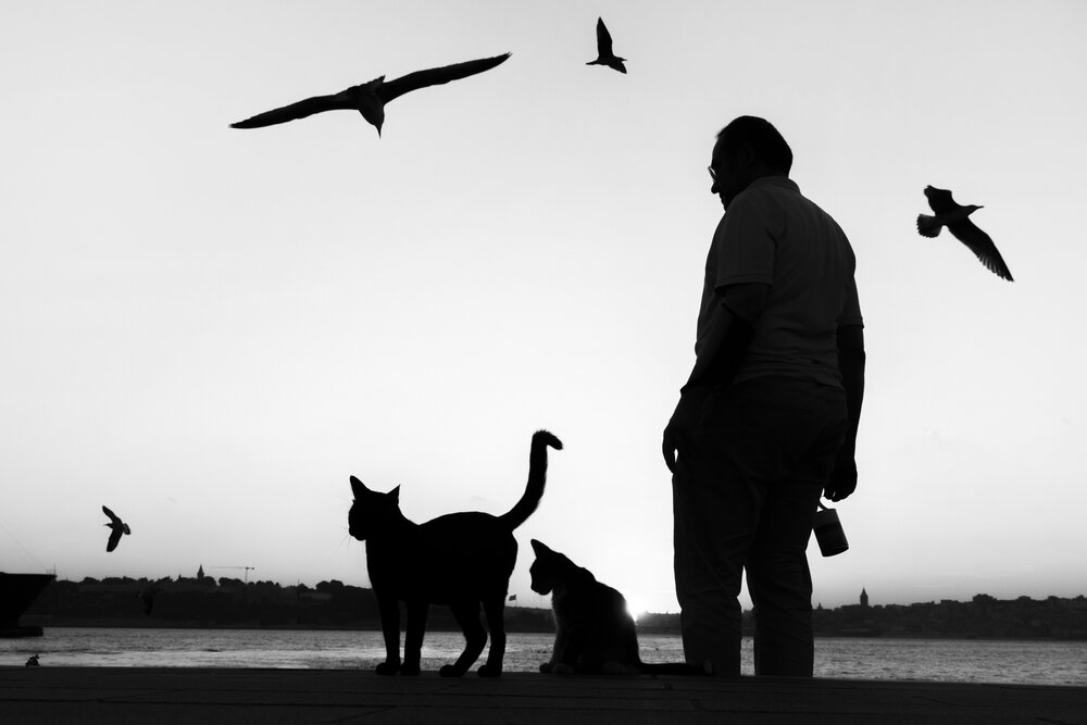 Photograph by Soner Arkan