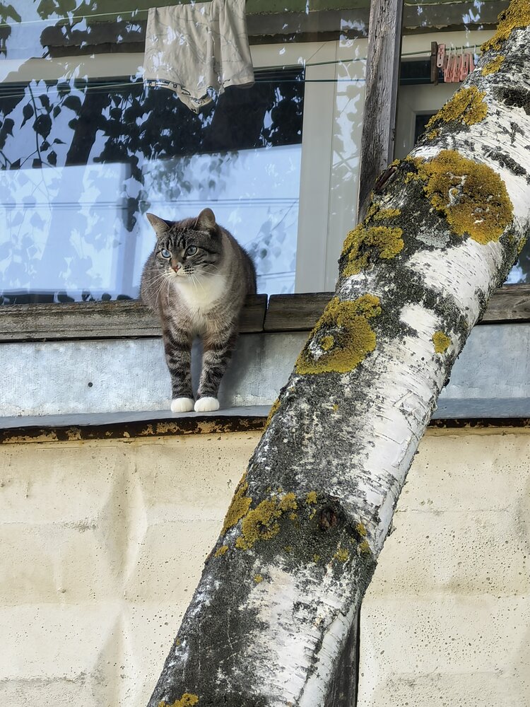 Photograph by Елена Охапкина