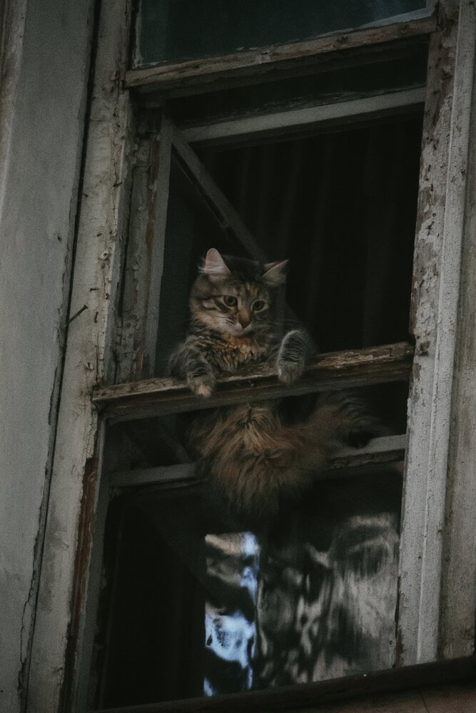 Photograph by Анастасия Курилова