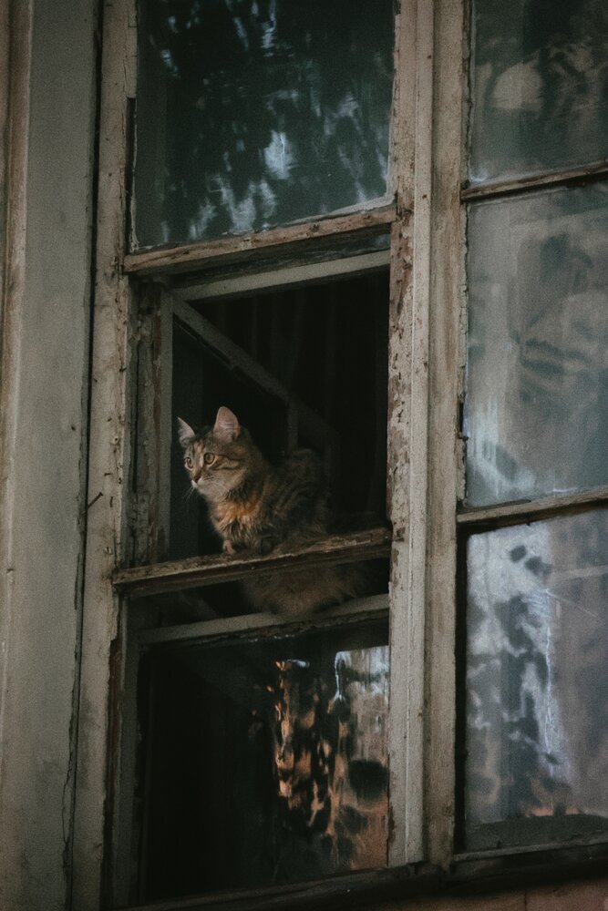 Photograph by Анастасия Курилова