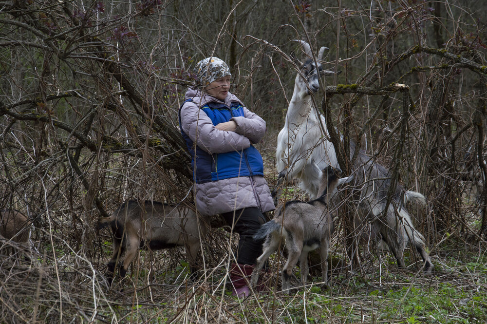 Photograph by Елена Максимова