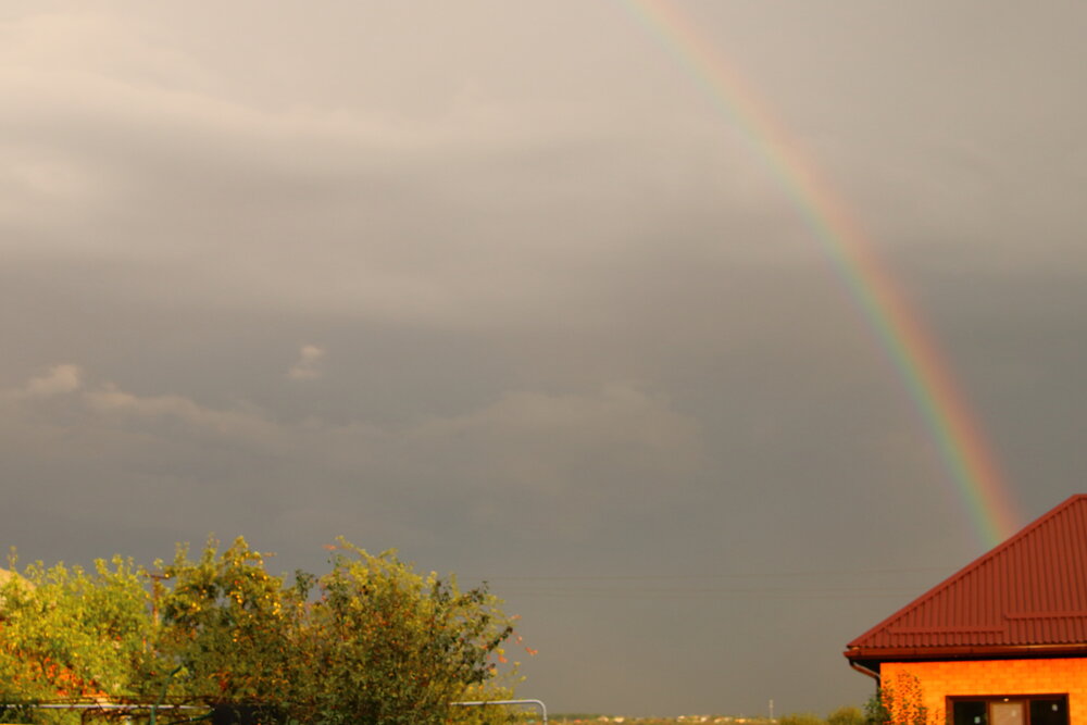 Photograph by Галина Трофимова