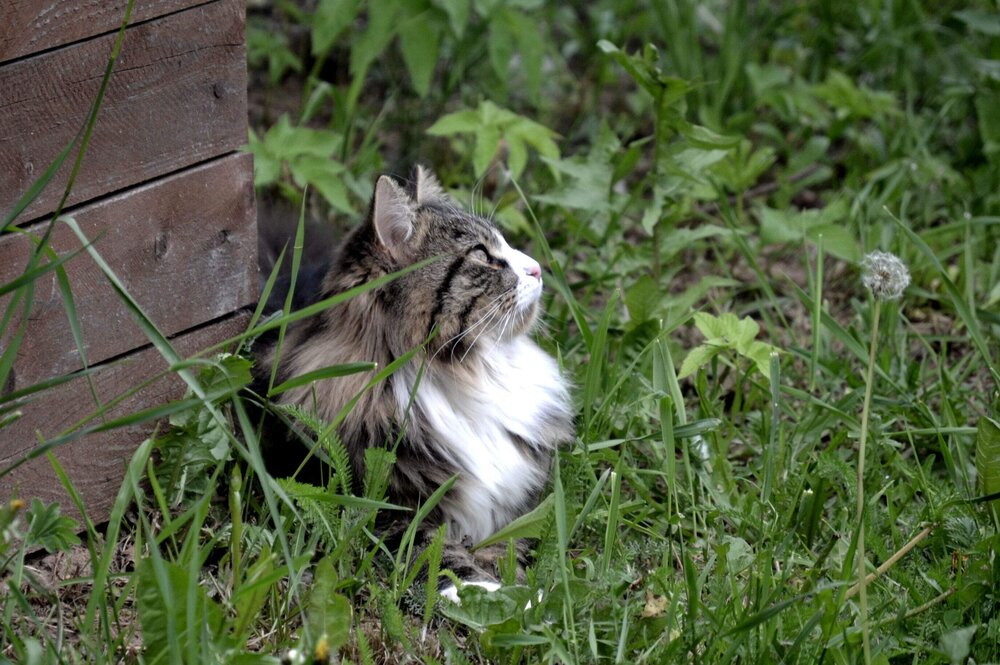 Photograph by Юлия Локалова