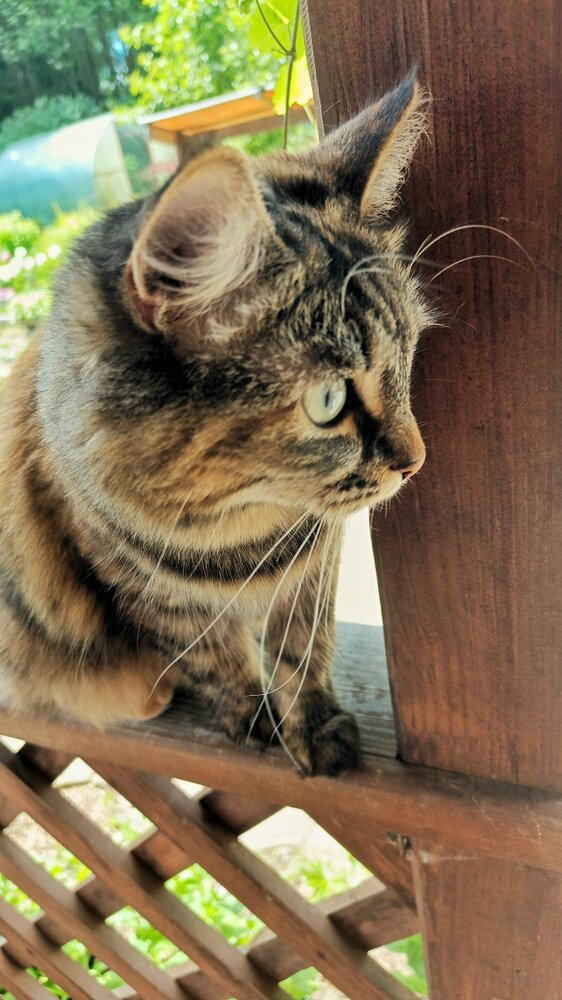 Photograph by Яна Морозова