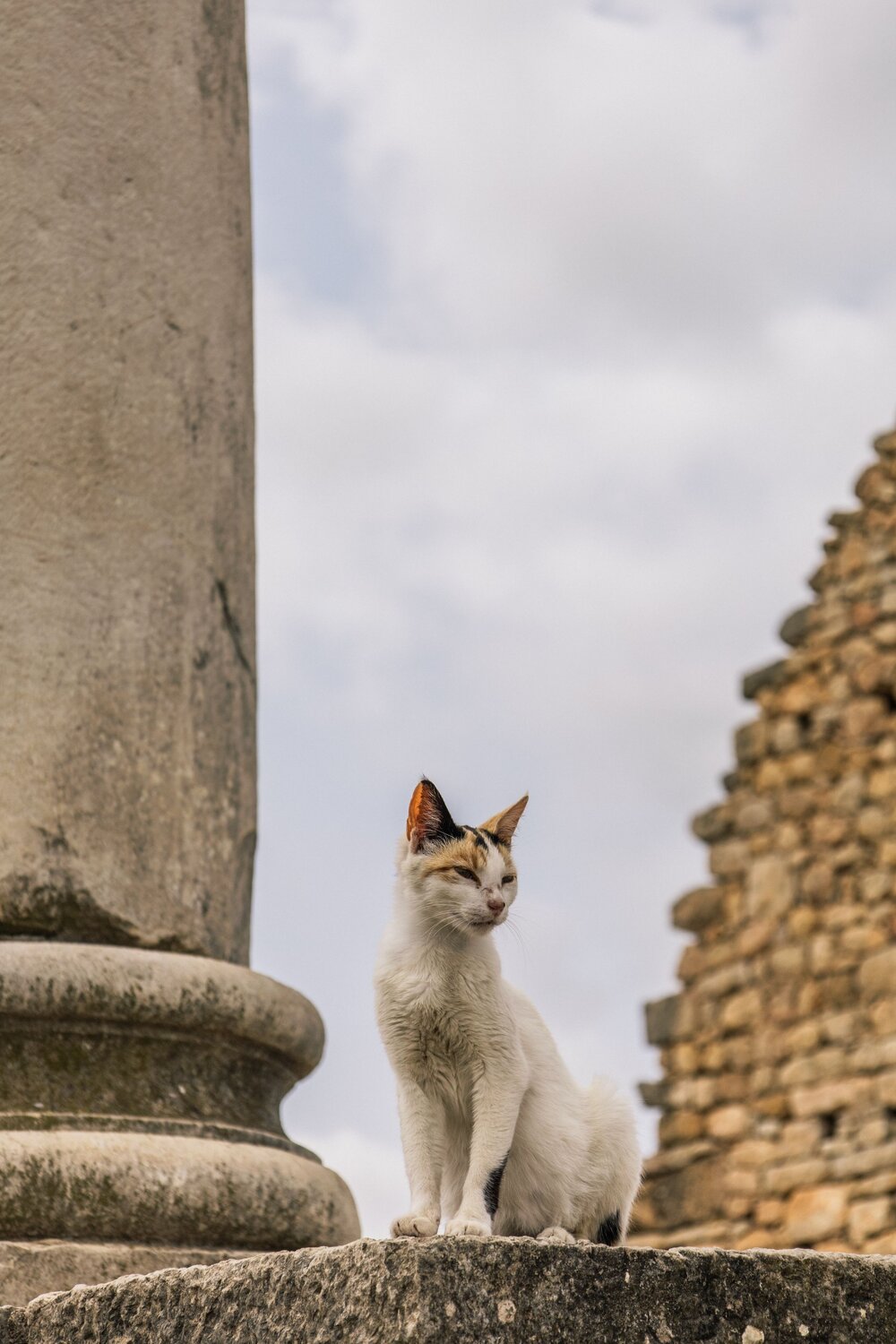Photo #14059084