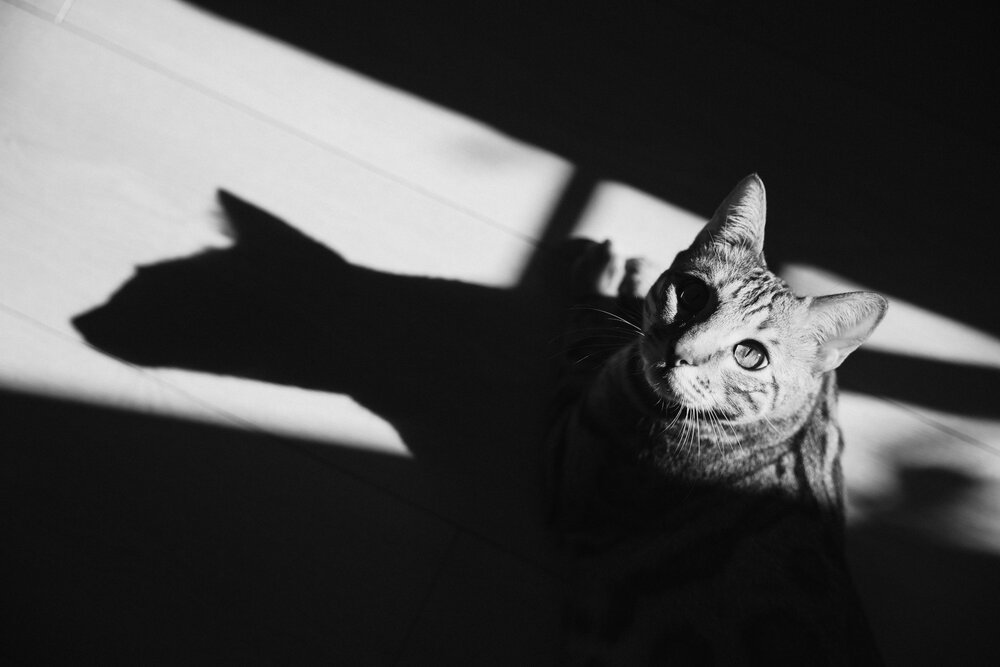 Photograph by Елена Стеблина