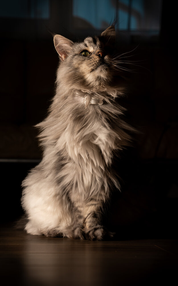 Photograph by Дмитрий Грошиков