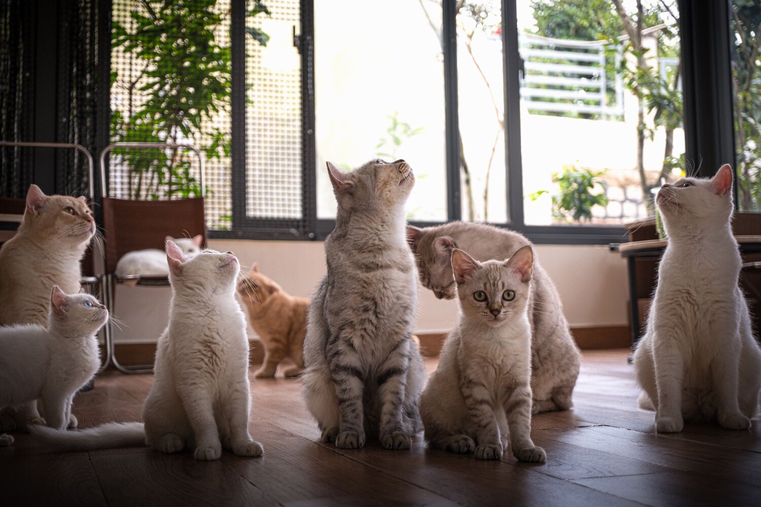 Photo #14059151