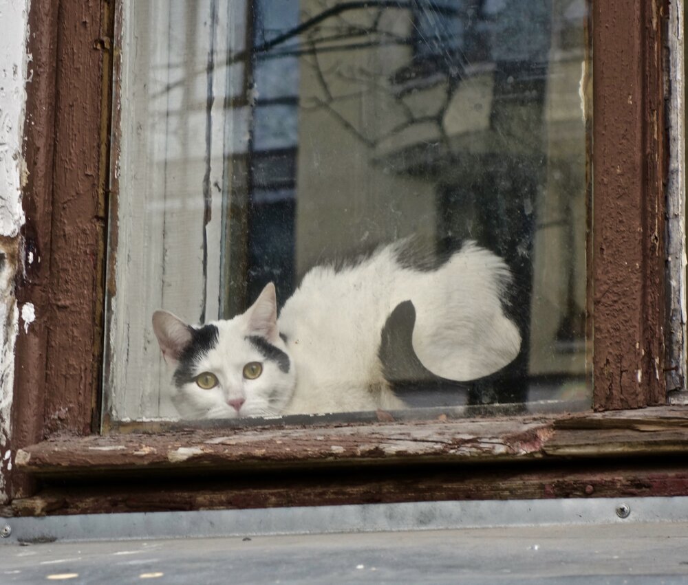 Photograph by Елена Жукова