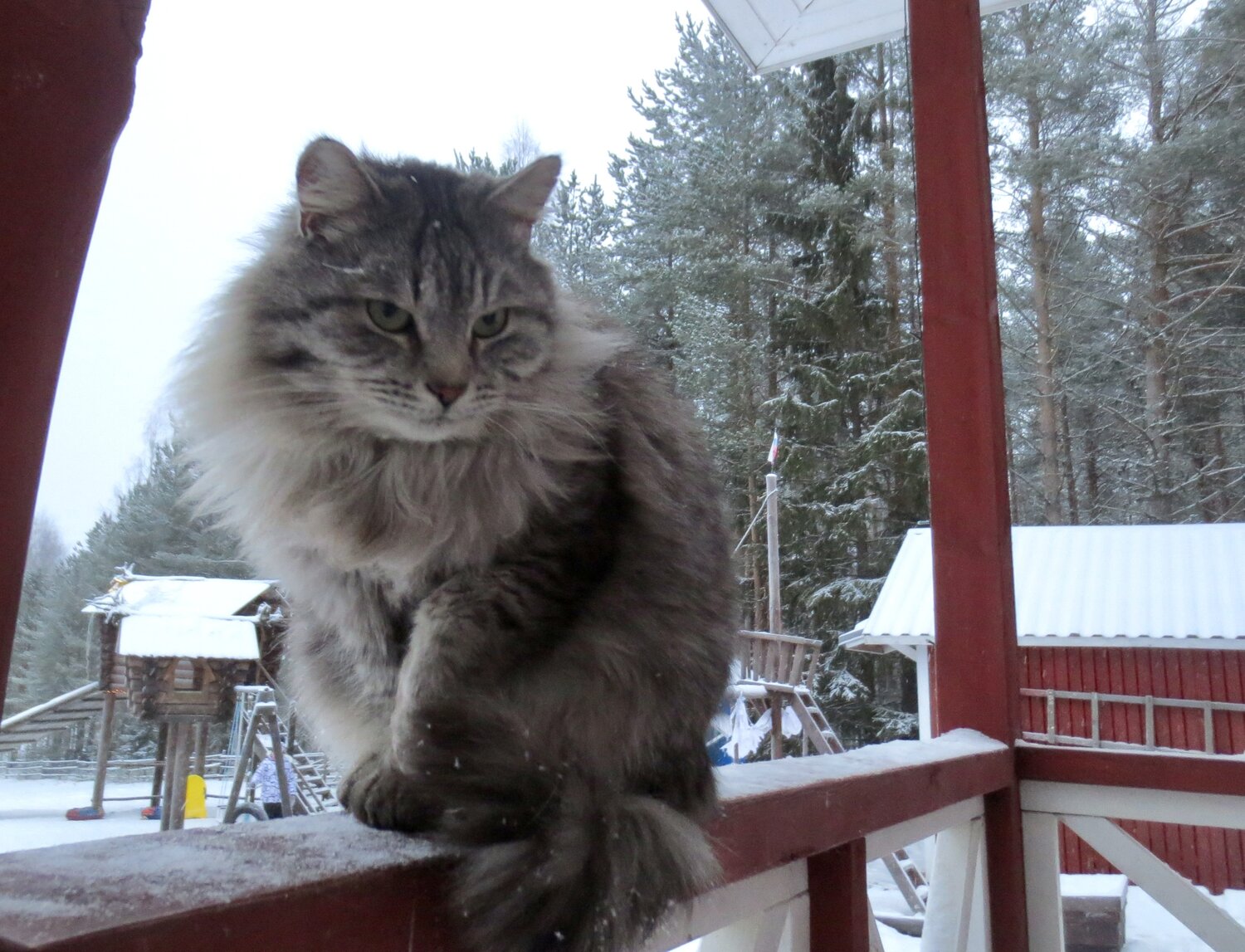 Photo #14059158