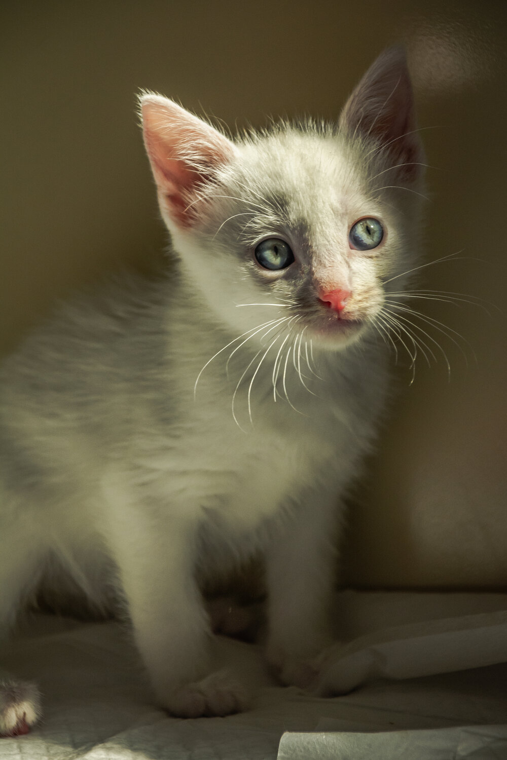 Photo #14059193