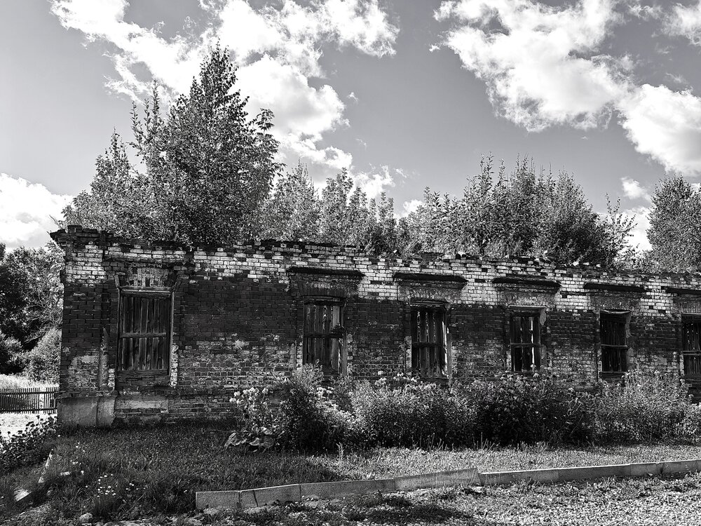 Фотография автора ОЛЬГА ДЕРБЕНЕВА