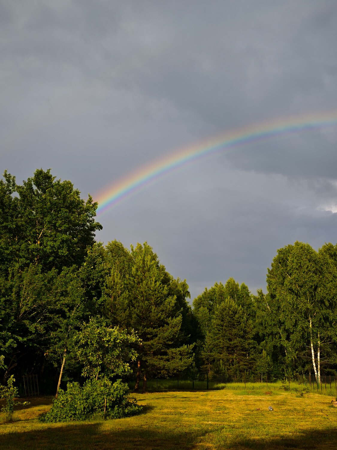 Photo #14059214