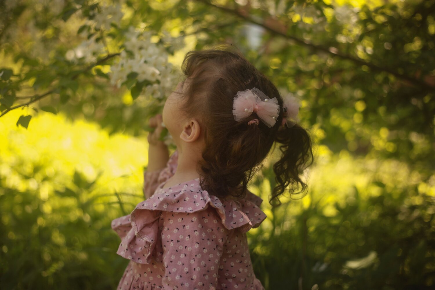 Photo #14059289