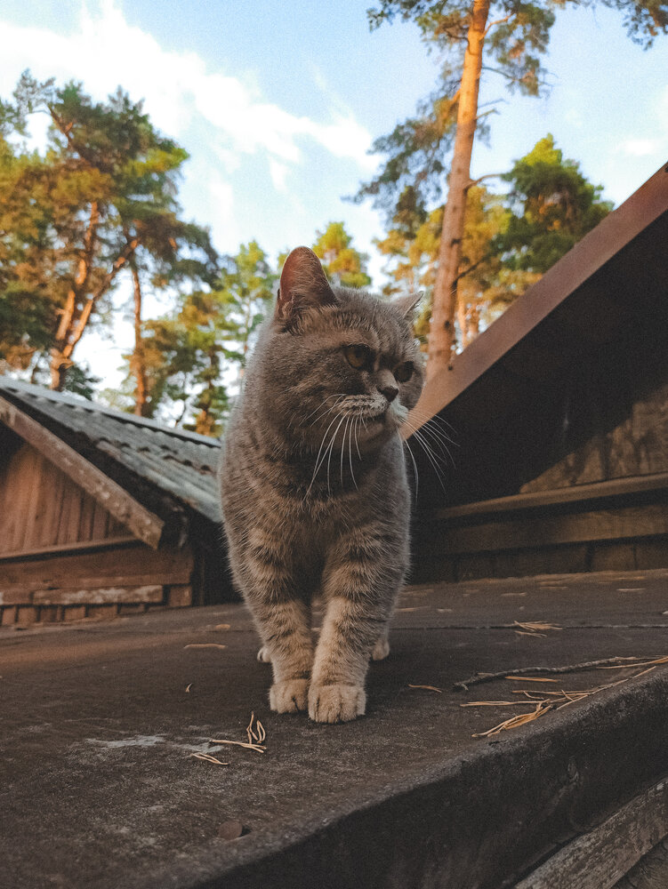 Photograph by Анастасия Май
