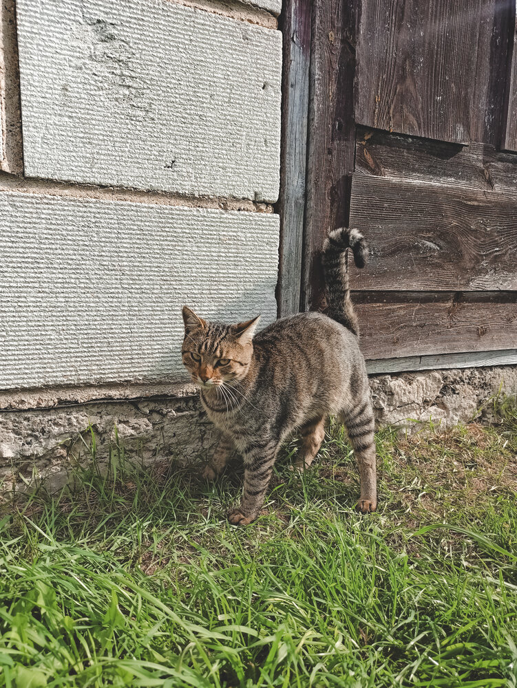 Photograph by Анастасия Май