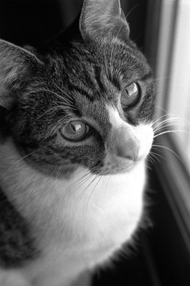 Photograph by Shannon Maltbie-Davis