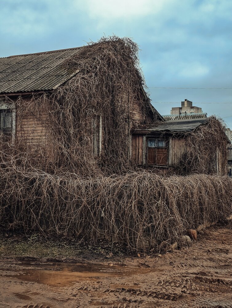 Photograph by Екатерина Сенько