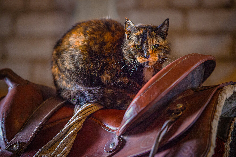 Photograph by Юлия Максимова