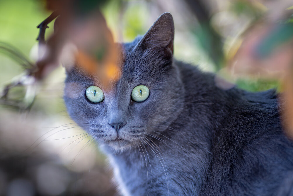 Photograph by Андрей Котенко
