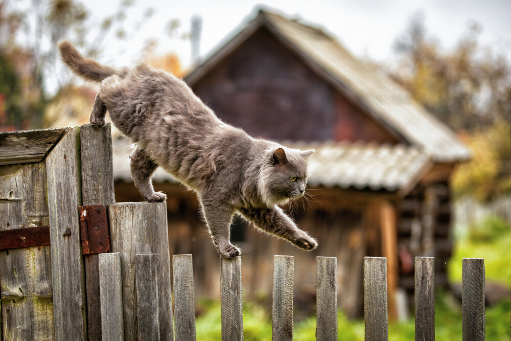 Photograph by Сергей Зорин