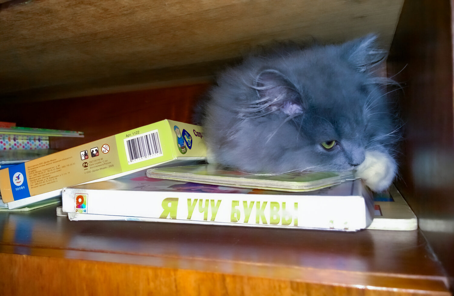Photo #14059379
