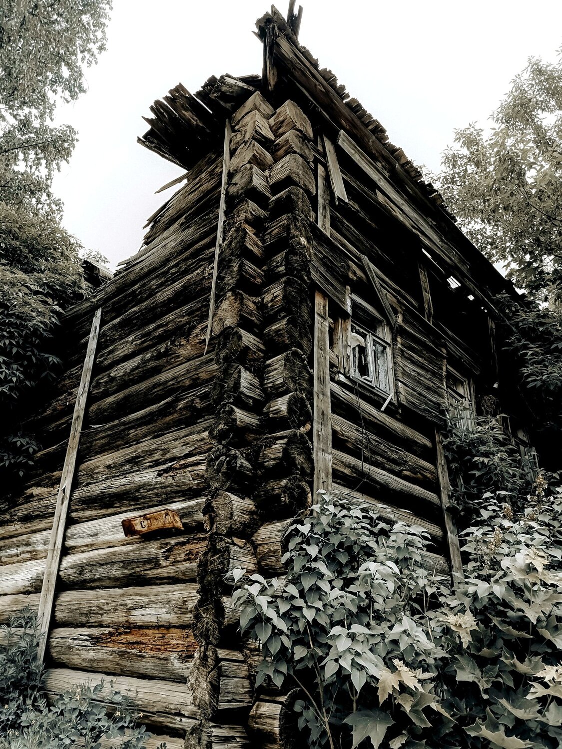Photo #14059424