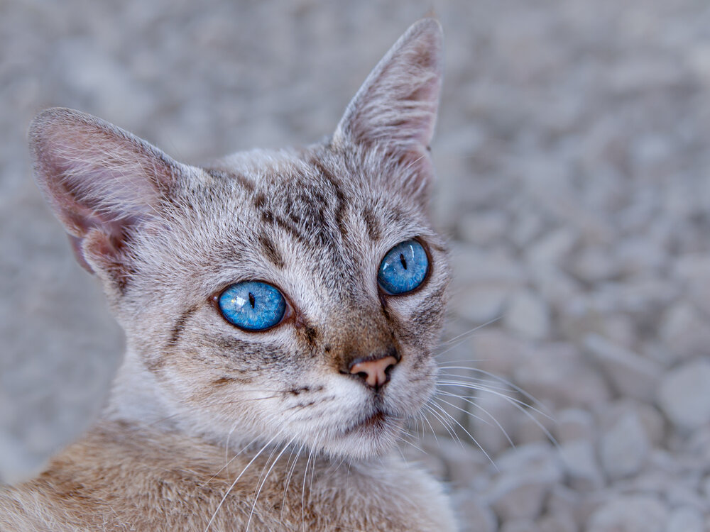 Photograph by Ольга Мусиенко