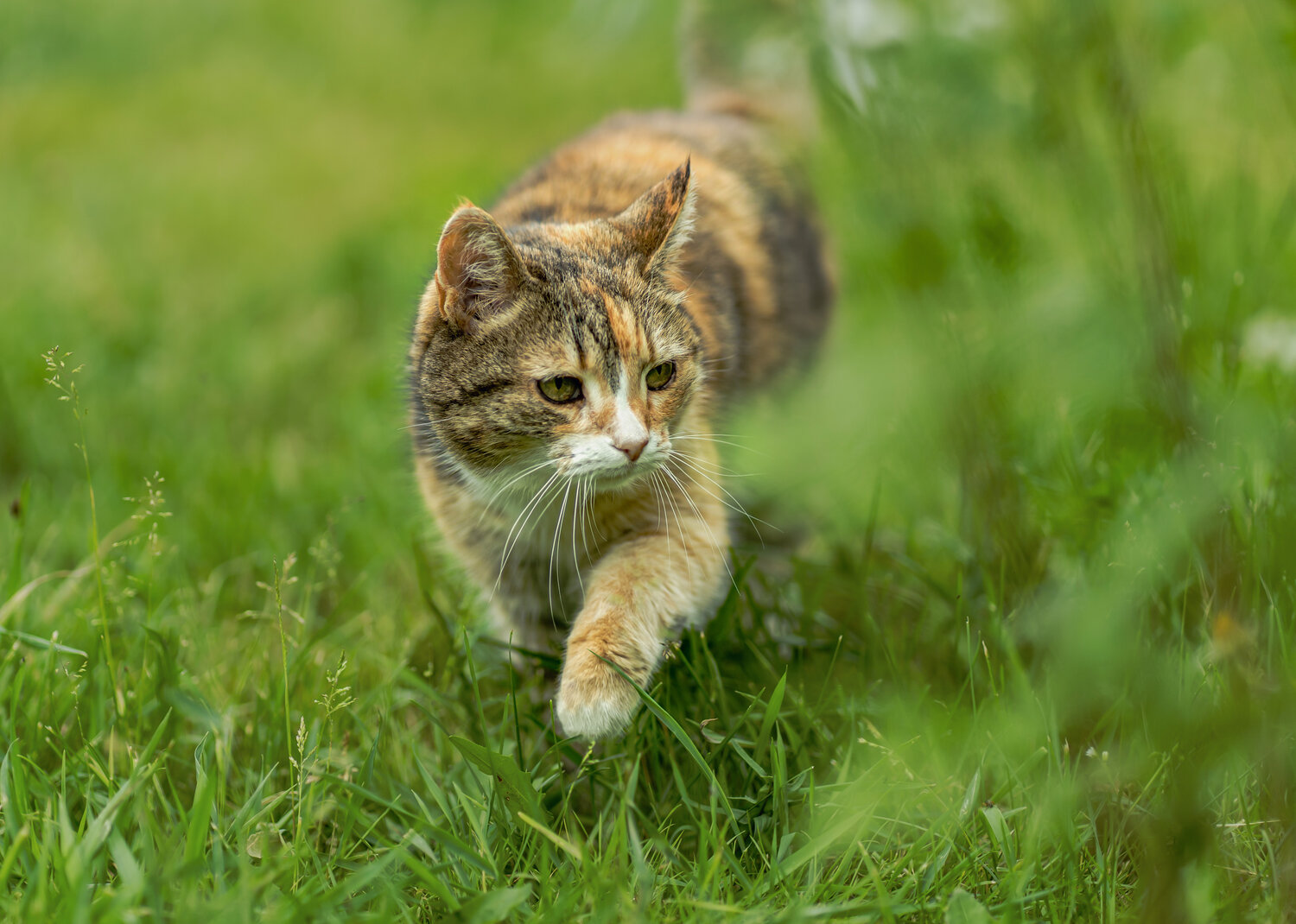 Photo #14059544