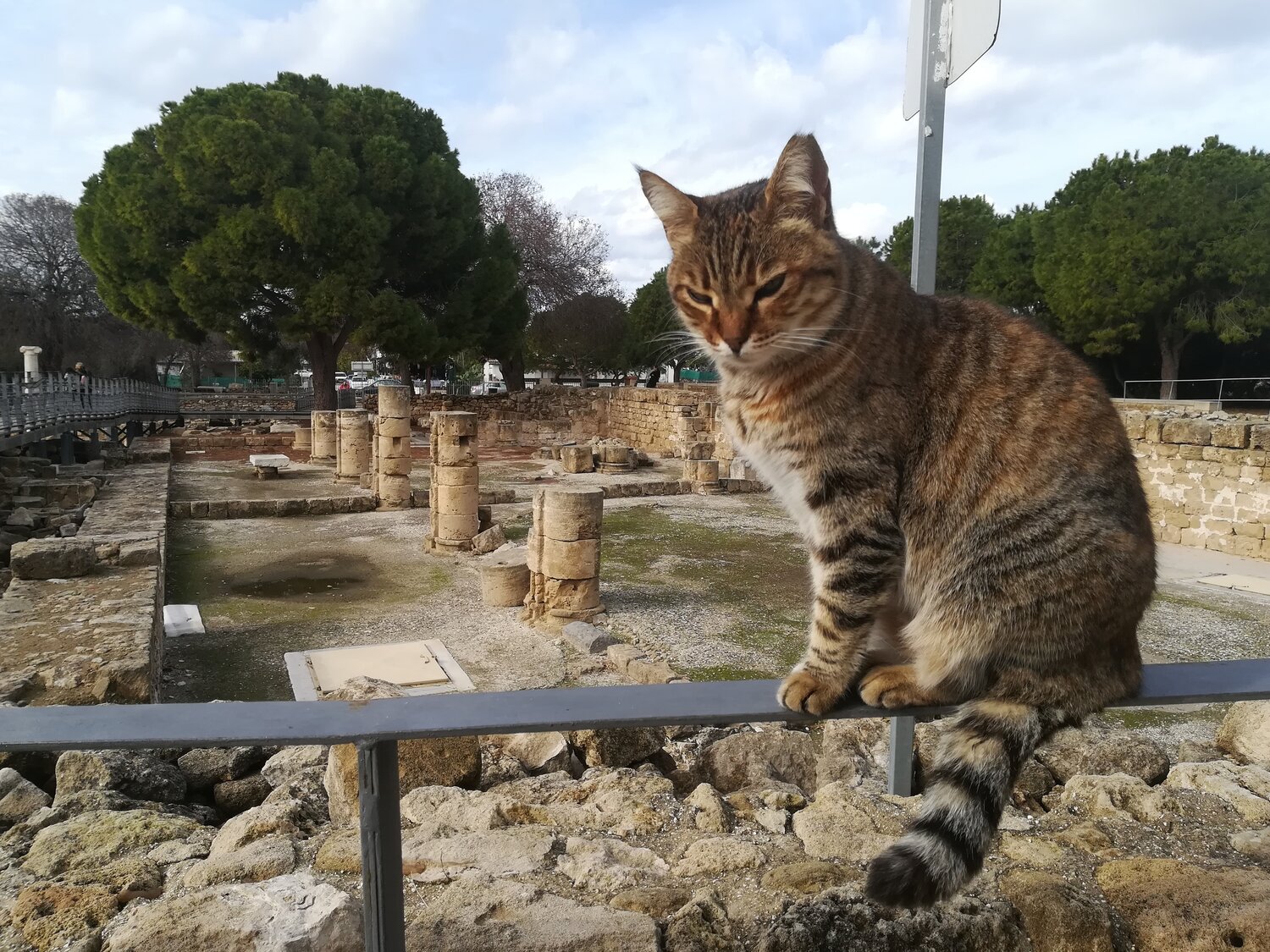 The Keeper of the Archaeological Park