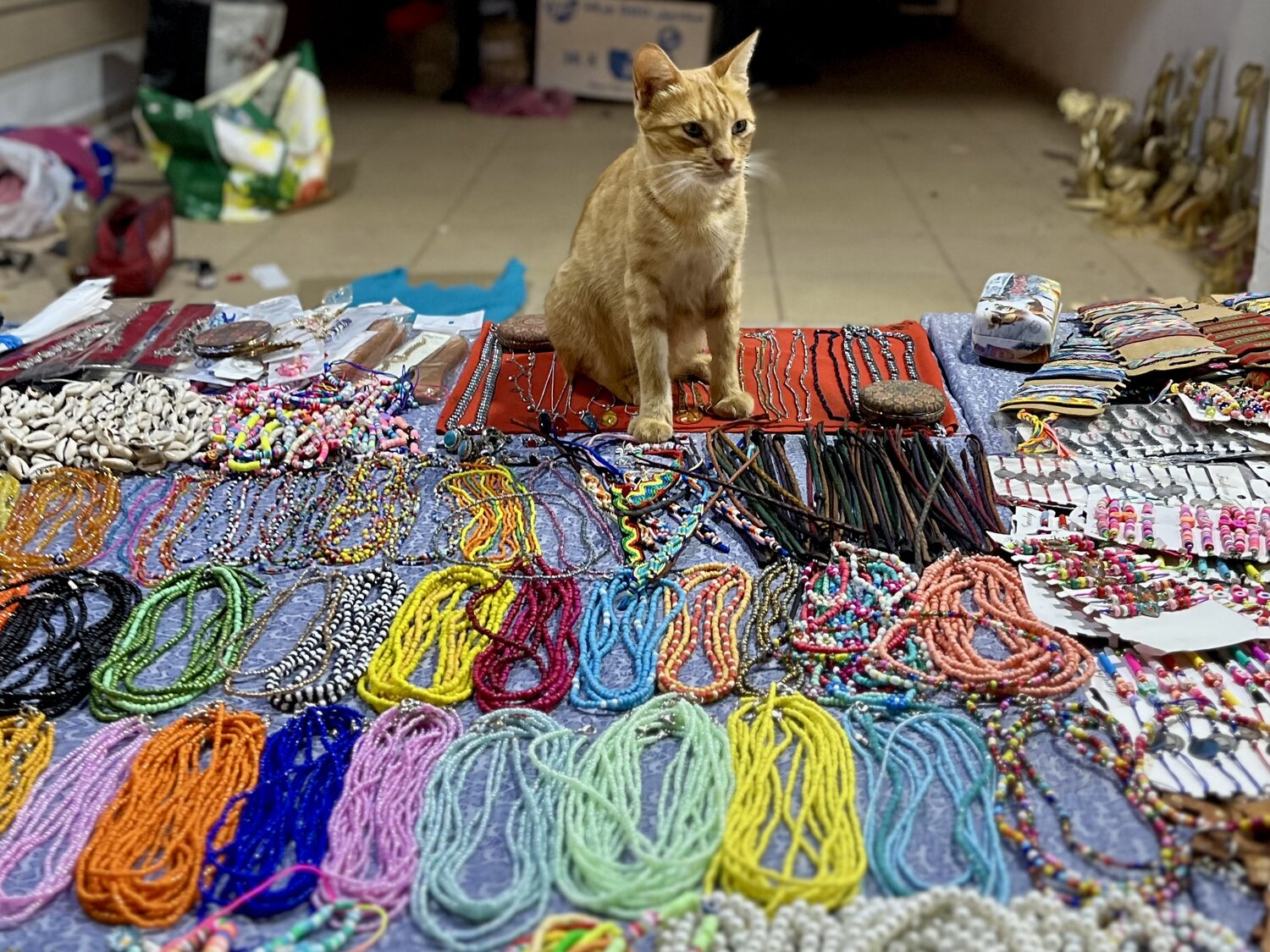 Photo #14059555