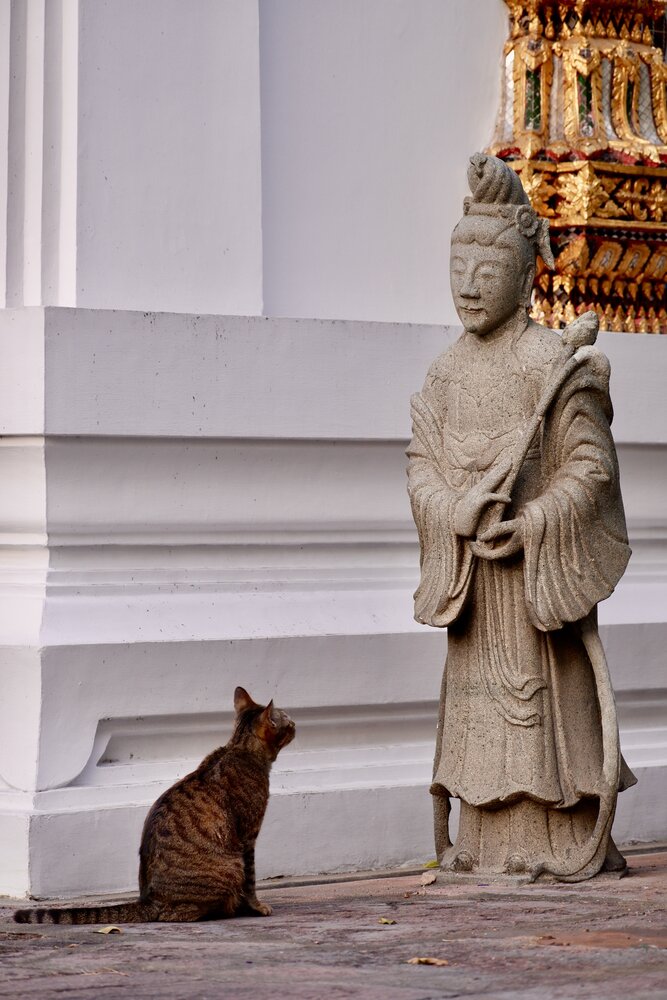 Фотография автора Михаил Алещенков