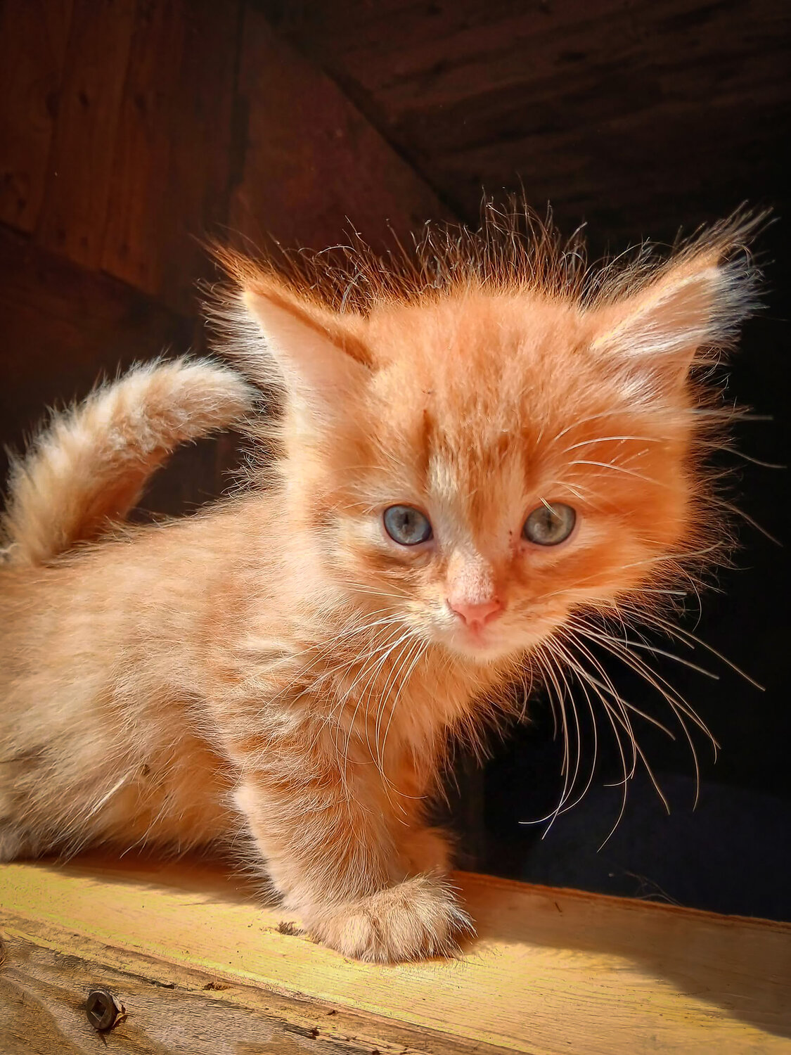 Photo #14059585