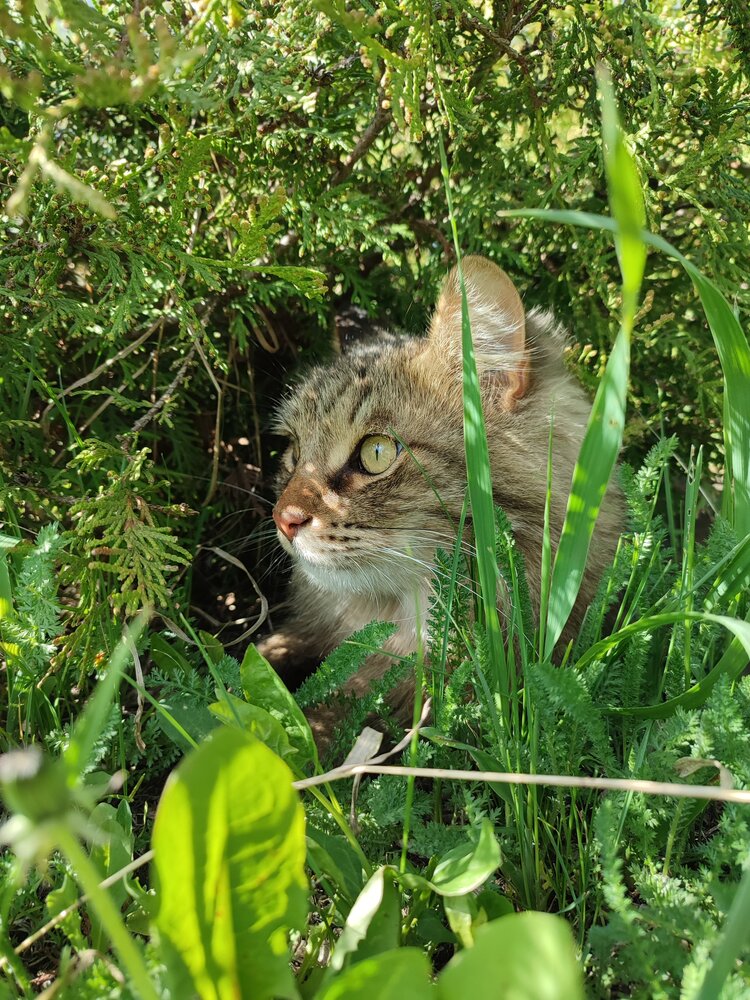 Photograph by Людмила Кузнецова