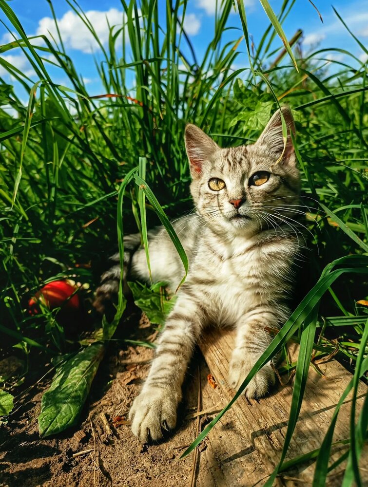 Photograph by Ирина Колдун