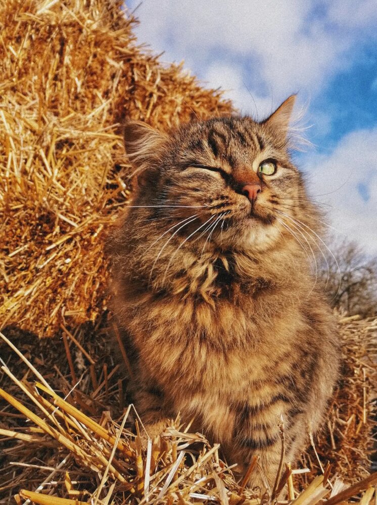 Photograph by Ирина Колдун