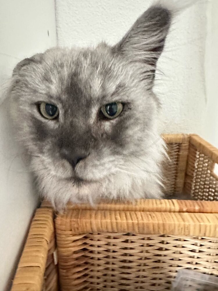 Photograph by Екатерина Набатчикова