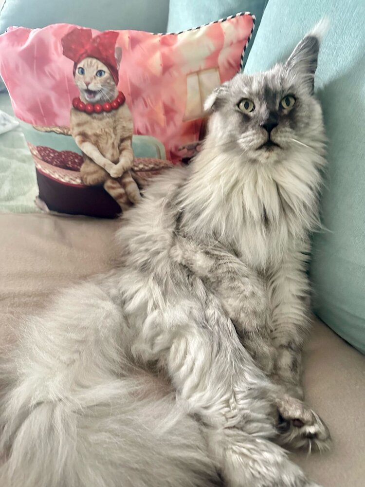 Photograph by Екатерина Набатчикова