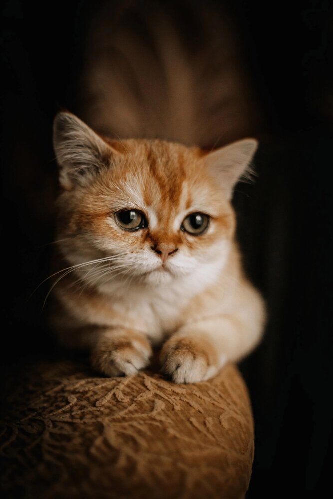 Photograph by Белокуров Сергей