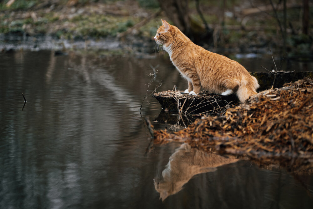 Photograph by Dina Damotseva
