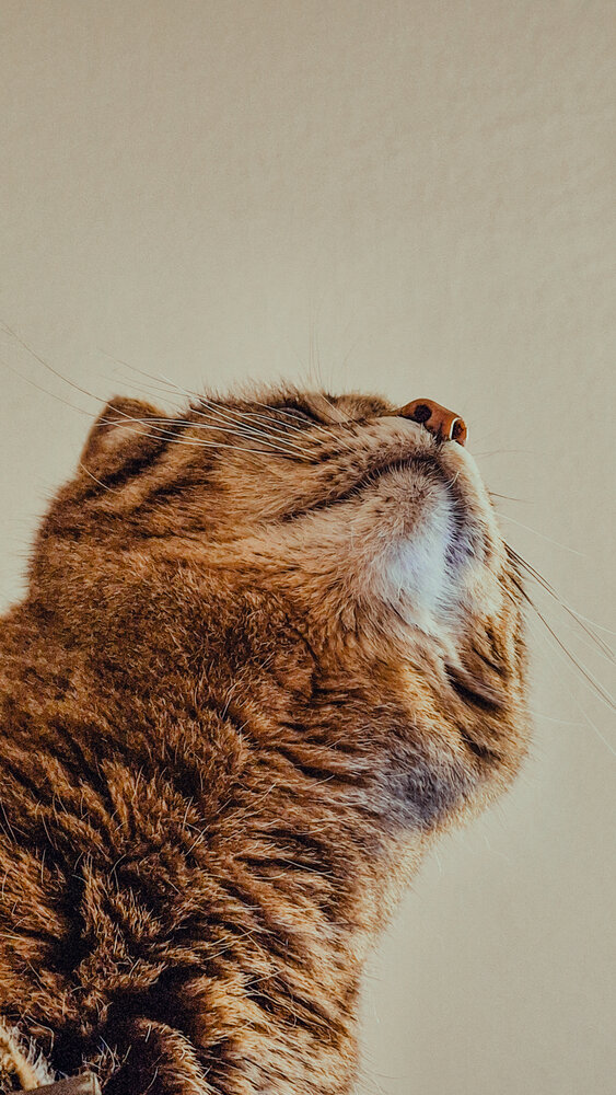 Photograph by Мария Таскаева