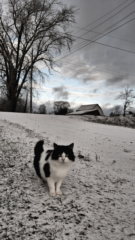 Photograph by Мария Таскаева