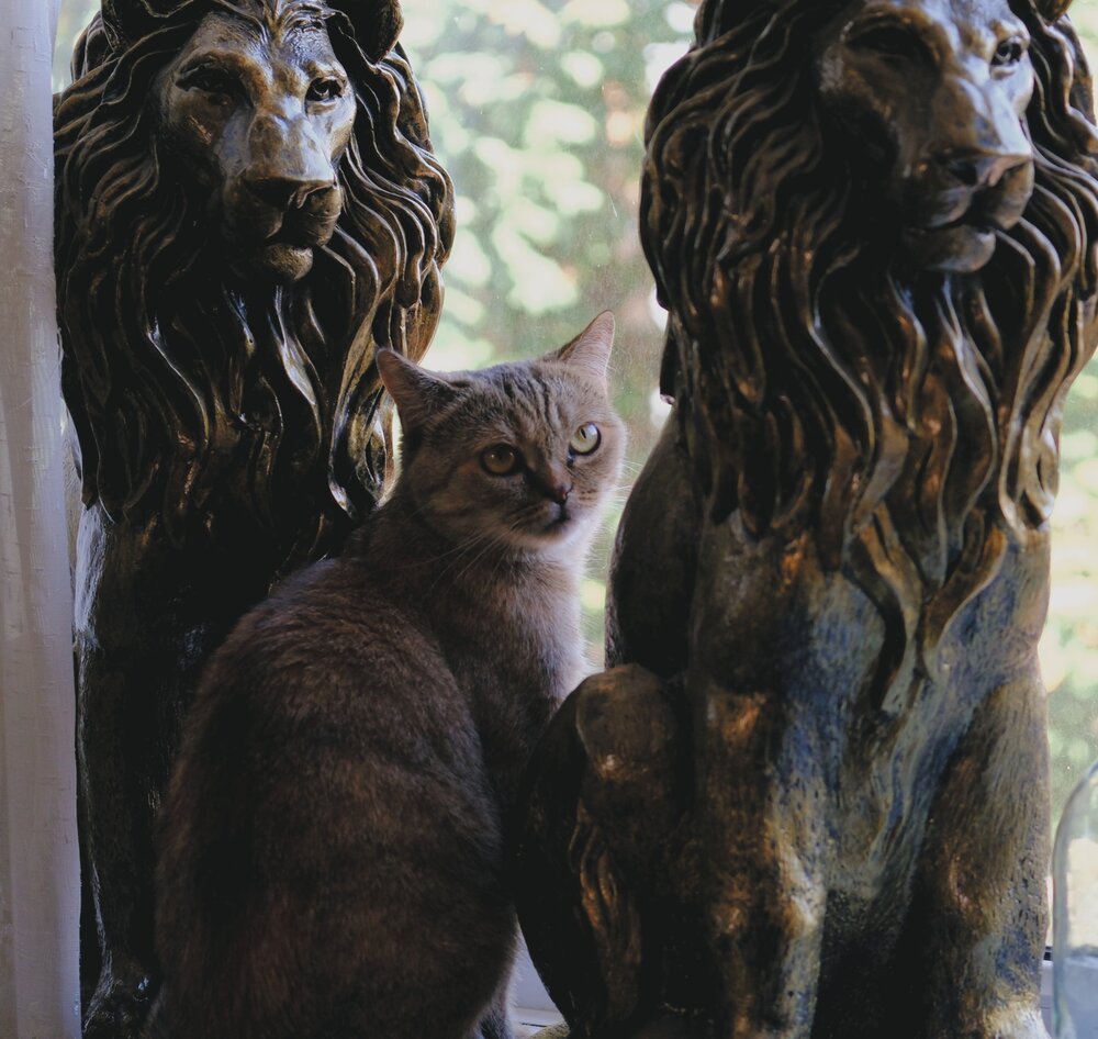 Photograph by Яна Истоцкая