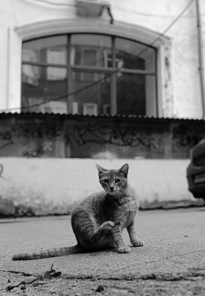 Photograph by Инесса Васильева