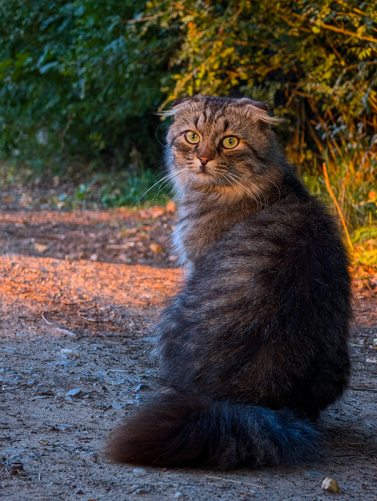 Photograph by Анастасия Логинова