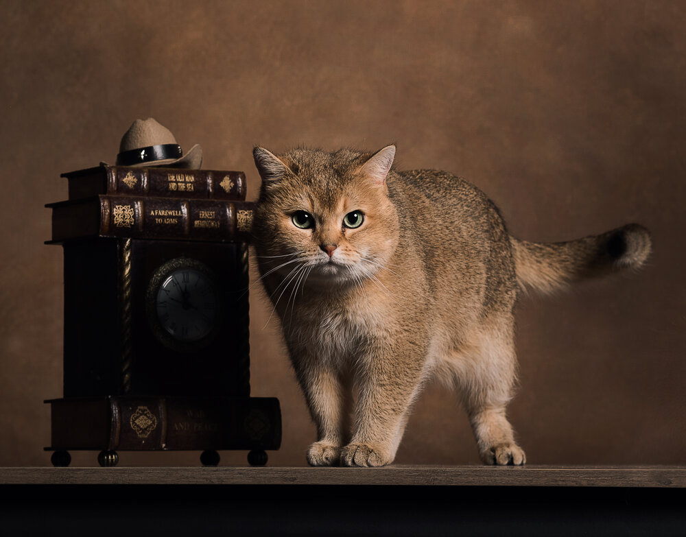 Photograph by Юлия Шестопалова