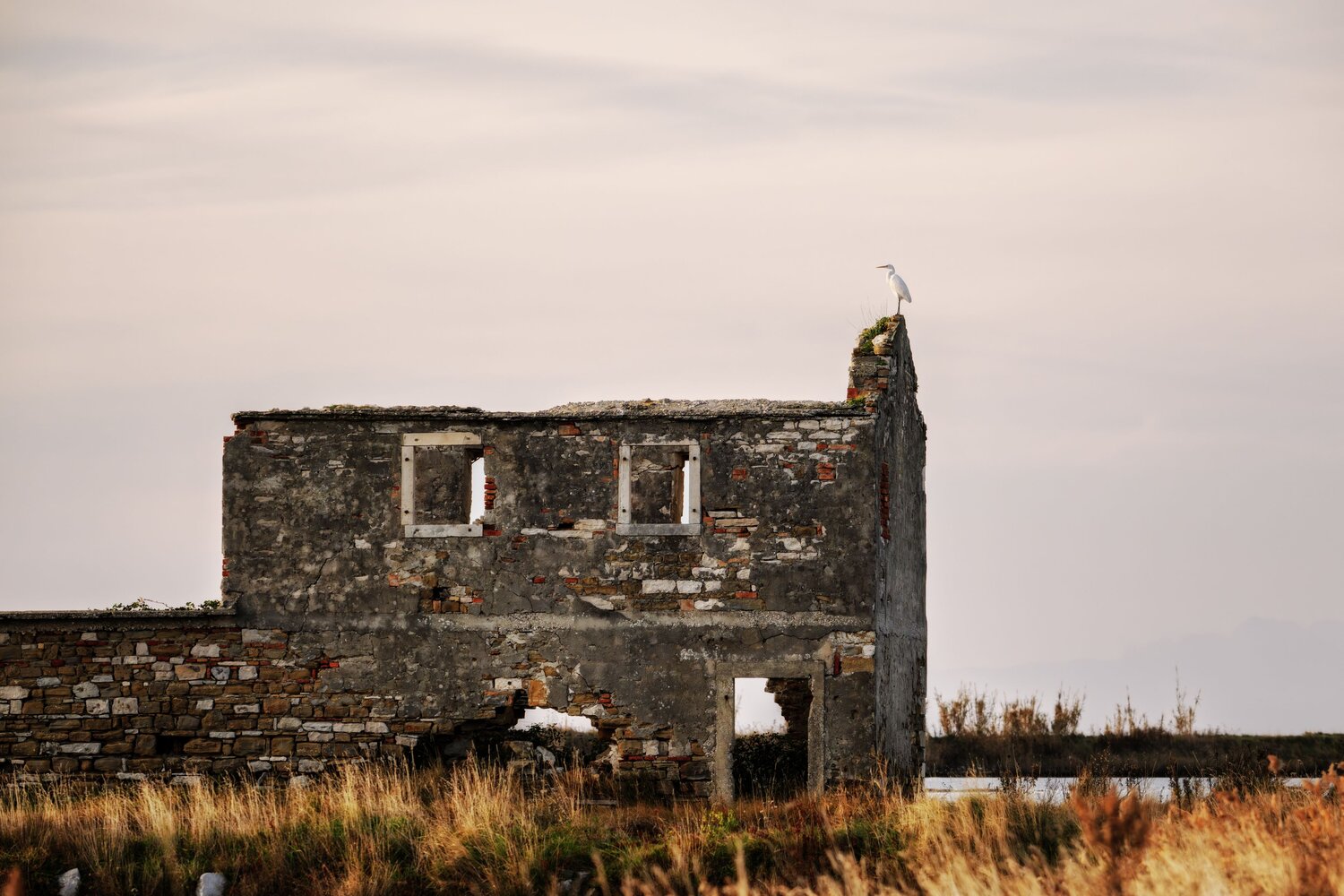 The Silent Lookout